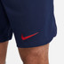 Nike Paris Saint-Germain Pre-Match Trainingsset