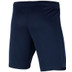 Nike Paris Saint-Germain Pre-Match Trainingsset Kids
