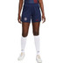 Nike Paris Saint-Germain Thuis Tenue Dames