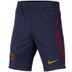 Nike Paris Saint-Germain Strike Short Kids