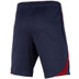 Nike Paris Saint-Germain Strike Short Kids