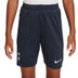 Nike Tottenham Hotspur Strike Träningsset Barn
