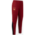 Robey N.E.C. Training Pant Kids 2023/2024