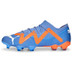 Puma Future Ultimate Low FG/AG