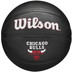 Wilson NBA Team Tribute Mini Chicago Bulls 1
