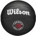 Wilson NBA Team Tribute Mini Toronto Raptors 1