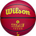 Wilson NBA Player Icon Outdoor 1