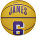 Wilson NBA Player Icon Mini 1