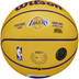 Wilson NBA Player Icon Mini 4
