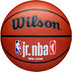 Wilson Jr. NBA Family Logo In/Outdoor 1