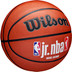 Wilson Jr. NBA Family Logo In/Outdoor 2