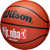 Wilson Jr. NBA Family Logo In/Outdoor 3