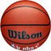 Wilson Jr. NBA Family Logo In/Outdoor 5