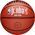 Wilson Jr. NBA Family Logo In/Outdoor 6