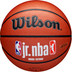 Wilson Jr. NBA Family Logo In/Outdoor 7