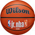 Wilson Jr. NBA Family Logo Authentic Outdoor 1