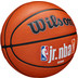 Wilson Jr. NBA Family Logo Authentic Outdoor 2