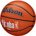 Wilson Jr. NBA Family Logo Authentic Outdoor 3