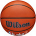 Wilson Jr. NBA Family Logo Authentic Outdoor 5