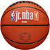 Wilson Jr. NBA Family Logo Authentic Outdoor 6