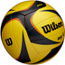 Wilson AVP ARX Official Beach Game Ball