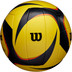 Wilson AVP ARX Official Beach Game Ball