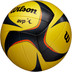 Wilson AVP ARX Official Beach Game Ball