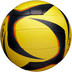 Wilson AVP ARX Official Beach Game Ball