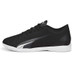 Puma Ultra Play Indoor