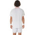 Asics Court Graphic Polo