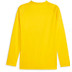 Puma Borussia Dortmund Trainingspak
