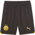 Puma Borussia Dortmund Hemma Fotboll kit 
