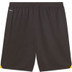 Puma Borussia Dortmund Hemma Fotboll kit 
