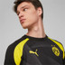 Puma Borussia Dortmund Pre-Match Shirt 2023/2024