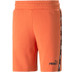 Puma Essential Zomerset
