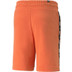 Puma Essential Zomerset