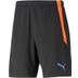 Puma LIGA Training Short