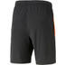 Puma LIGA Training Short