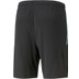 Puma LIGA Trainingsset