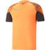 Puma CUP Trainingsset
