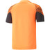 Puma CUP Trainingsset