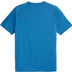Puma Manchester City Pre-Match Trainingsset