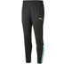 Puma LIGA Trainingspak
