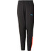 Puma LIGA Trainingspak Kids
