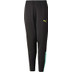 Puma LIGA Trainingspak Kids