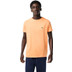 Lacoste Classic Tee