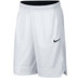 Nike Dri-Fit Icon 11inch Short 1