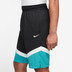 Nike Dri-Fit Icon 11inch Short 3