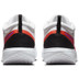 Nike Court Zoom Pro Herren