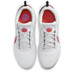 Nike Court Zoom Pro Herren